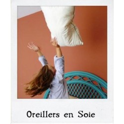 Oreillers en Soie