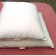 Natural Silk Pillows